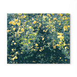 Em White, Harvest Moon, 2023