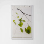 Jeri Eisenberg, Dogwood (Pink), 2008