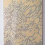 Nancy Murphy Spicer, Disrupted Drawing Small 16, 2015