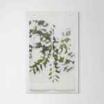 Jeri Eisenberg, Dogwood (Pink), 2008