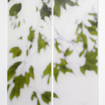 Jeri Eisenberg, Dogwood (Pink), 2008