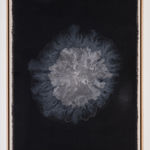 Ahmet Çerkez, Untitled, 2014