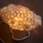 Thumbnail of additional image