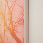 Signe Høi, Here Comes The Goodbye, 2023