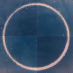 Louise Foo, Botanical Attunement, 2025