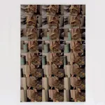 Garrett Pruter, The Birds (00:09:45), 2023, Shown at Brigade Gallery in Copenhagen, Denmark.