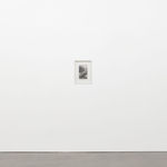 Xavier Robles de Medina, Vuong, Ocean. On Earth We´re Briefly Gorgeous. New York: Penguin Press, 2019, 2023, Shown by Brigade Gallery.