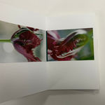 John Blakemore, Untitled (Colour Gradients) , 2020