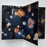 John Blakemore, Untitled (Colour Gradients) , 2020