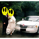 Natasha Caruana, Fairytale for Sale, 2011-13