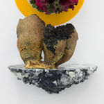 Andrew Sabin, Evolution, 2024