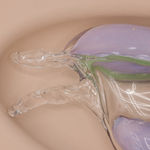 Thumbnail of additional image