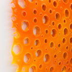 Andrew Sabin, Evolution, 2024