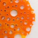 Andrew Sabin, Evolution, 2024