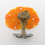 Andrew Sabin, Evolution, 2024