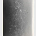 Adam Fuss, UNTITLED, 2011