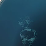 Lena Marie Emrich, Noches borrosas II, 2025