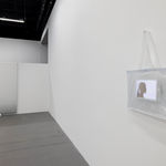 Joyce Ho, Vera x Diary, 2022