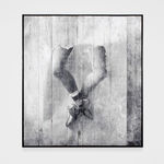 JR, Migrants, Mayra, Picnic across the border, Quadrichromie, Tecate, Mexico - U.S.A., 2018