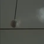 Motohiko Odani, A Dead Man Sleeping, 2013