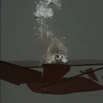 Motohiko Odani, A Dead Man Sleeping, 2013