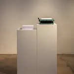 Fiona Banner, Portrait as a Book, 2019