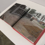 Pak Sheung Chuen, An artwork done by others series: MAD IN CHINA, 2011