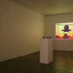 Fiona Banner, Portrait as a Book, 2019