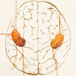 Nalini Malani, Exile - Dreams - Longing, 2020, 2021