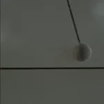 Motohiko Odani, A Dead Man Sleeping, 2013