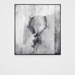 JR, Migrants, Mayra, Picnic across the border, Quadrichromie, Tecate, Mexico - U.S.A., 2018