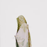 Pengyi Jiang, Medium No. 7, 2018