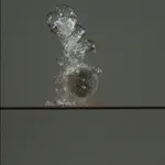 Motohiko Odani, A Dead Man Sleeping, 2013