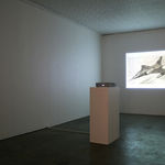 Fiona Banner, Portrait as a Book, 2019