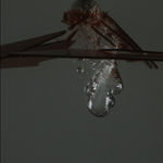 Motohiko Odani, A Dead Man Sleeping, 2013