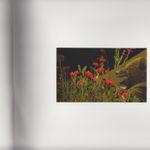 Muhanned Cader, Flags, 2012