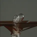 Motohiko Odani, A Dead Man Sleeping, 2013