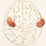 Nalini Malani, Exile - Dreams - Longing, 2020, 2021