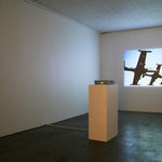 Fiona Banner, Portrait as a Book, 2019