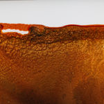 Mariëtte Kotzé, Nocturnal symphony, 2024