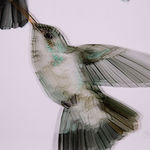 Ingrid Uys, Follow the Light Beyond II, 2019