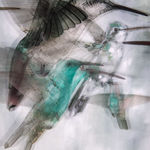 Ingrid Uys, Follow the Light Beyond II, 2019