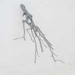 Maya Kramer 玛雅·克莱默, There is Nothing You Can Measure Anymore, 没有什么可以再测量的, 2010-2013