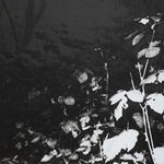 Luca Campestri 卢卡·坎佩斯特里, Watering the plants 给植物浇水, 2025