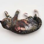 Huang Hai-Hsin 黄海欣, Not My Dog (Dog Olympic #2) 不是我的狗（犬类奥运会#2）, 2021