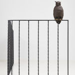 Elizabeth Jaeger 伊丽莎白·耶格, Bird 鸟, 2020