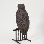 Elizabeth Jaeger 伊丽莎白·耶格, Rail (Flaco) 围栏（弗拉科）, 2024