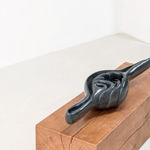 Leelee Chan 陳麗同, Shapeshifter (Volva) 变型体（梭螺）, 2025