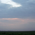 Alice Wang 王凝慧, Untitled 无题, 2018