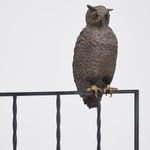 Elizabeth Jaeger 伊丽莎白·耶格, Bird 鸟, 2020